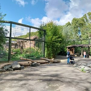 Monkey House - Towards the entrance