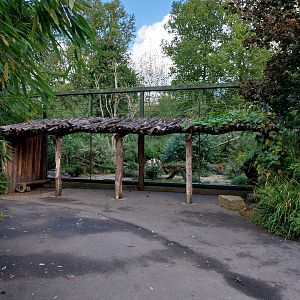 Monkey House - Madagascar exhibit