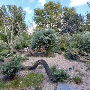 Monkey House - Madagascar exhibit