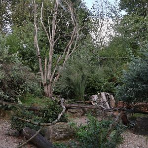 Monkey House - Madagascar exhibit