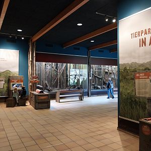 Monkey House - Interior