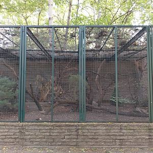 Pheasantry - Temminck's Tragopan (Tragopan temminckii) and White-crested Laughingthrush (Garrulax leucolophus diardi)