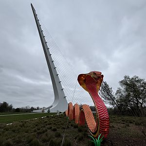 Sundial Bridge + King Cobra
