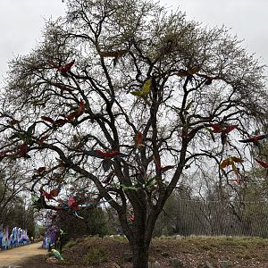 Glowing Wild Lantern Festival - Macaw Tree