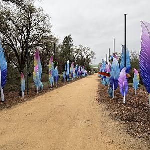 Glowing Wild Lantern Festival
