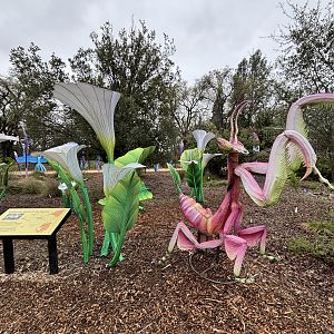 Glowing Wild Lantern Festival