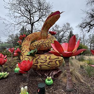 Glowing Wild Lantern Festival