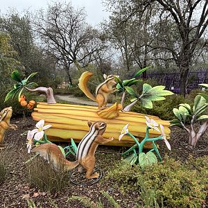 Glowing Wild Lantern Festival