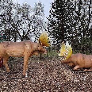 Glowing Wild Lantern Festival