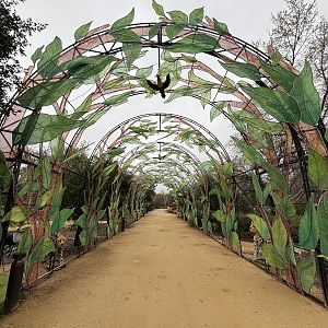 Glowing Wild Lantern Festival