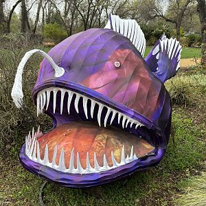 Glowing Wild Lantern Festival