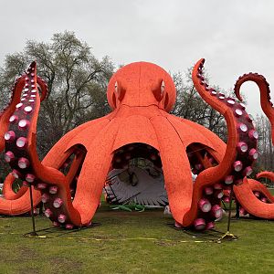 Glowing Wild Lantern Festival
