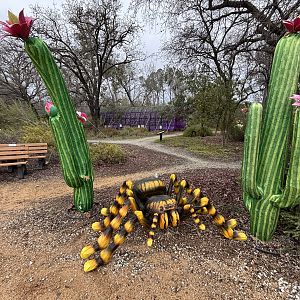 Glowing Wild Lantern Festival