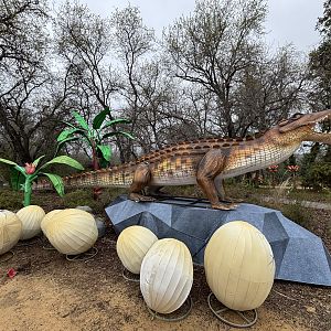Glowing Wild Lantern Festival