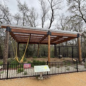 American Badger Exhibit