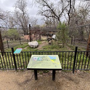 Red Fox Exhibit