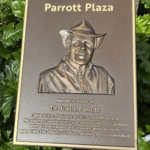 Parrot Plaza Plaque