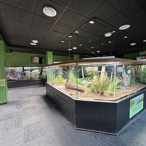 Reptile House