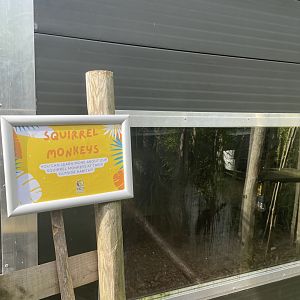 New Squirrel Monkey Area