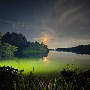 Upper Seletar Reservoir