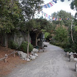 Himalaya - Path towards the top of the Trümmerberg