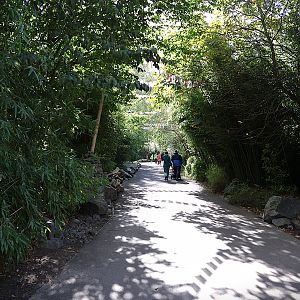 Himalaya - General view