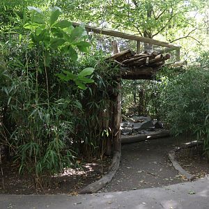 Himalaya - Satyr Tragopan aviary