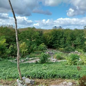 Himalaya - On top of the Trümmerberg