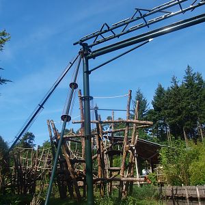 Part of one of the Bornean orangutan islands and retractable/extendable bridge between exhibits, 2015-08-01
