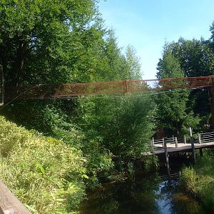 Transfer chute from monkey house to island, 2015-08-01