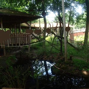 Hanuman langur exhibit, 2015-08-01