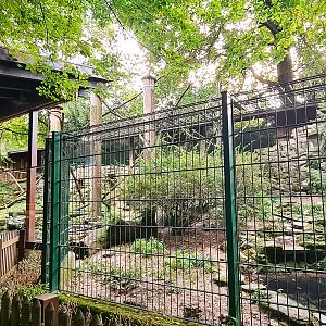 Raccoon enclosure