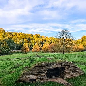 Badger enclosure with fallow deer in the background