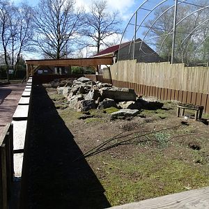 Black-tailed prairie dog (Cynomys ludovicianus) exhibit