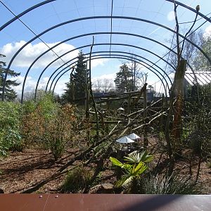 South american aviary