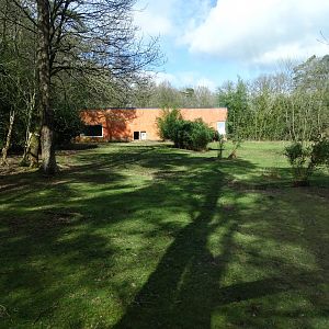 White lion (Panthera leo krugeri) exhibit