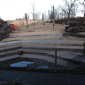 Spring cleaning of the pool in the Asian elephant herd exhibit, 2025-03-23
