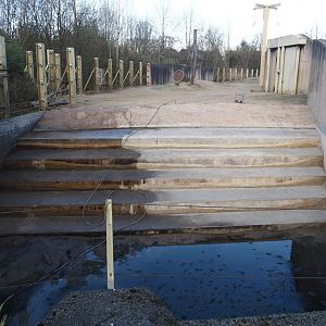 Spring cleaning of the pool in the Asian elephant bull exhibit, 2025-03-23