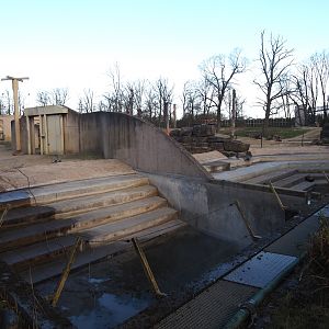 Spring cleaning of the pool in the Asian elephant bull and herd exhibits, 2025-03-23