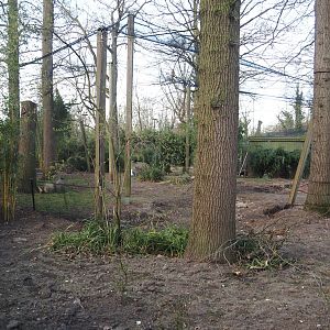 Renovation of one of the Asian aviaries near the Asiatic lion exhibit, 2025-03-23