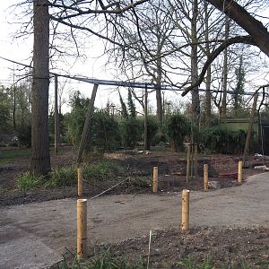 Renovation of the Asian aviaries and construction of a new walkway near the Asiatic lion exhibit, 2025-03-23