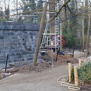 Renovation of the Asian aviaries and construction of a new walkway near the Asiatic lion exhibit, 2025-03-23