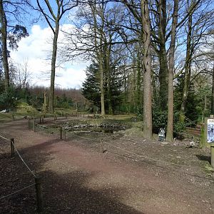 Ring-tailed lemur (Lemur catta) walktrough exhibit