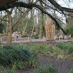 Renovation of the Asian aviaries and construction of a new walkway near the Asiatic lion exhibit, 2025-03-23