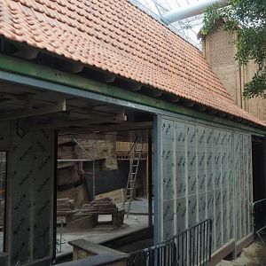 Construction on the indoor aviary in the orangutan greenhouse, 2025-03-23