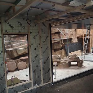 Construction on the indoor aviary in the orangutan greenhouse, with new rock work and pools, 2025-03-23