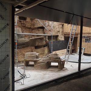 Construction on the indoor aviary in the orangutan greenhouse, with new rock work and pools, 2025-03-23