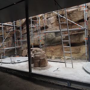 Construction on the indoor aviary in the orangutan greenhouse, with new rock work and pools, 2025-03-23