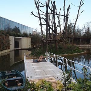 Working pontoon next to one of the Sumatran orangutan islands, 2025-03-23