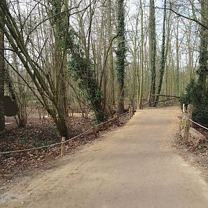 New slightly diverted main route to the Barbary macaques, 2025-03-23